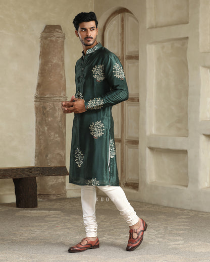Hari Booty Embroidered Silk Kurta