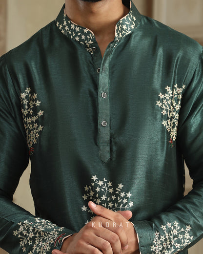 Hari Booty Embroidered Silk Kurta