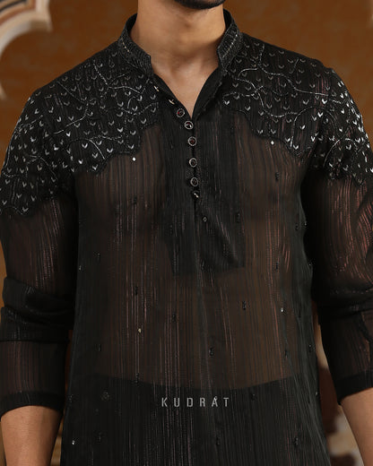 Black Georgette Sheer Embroidered Kurta