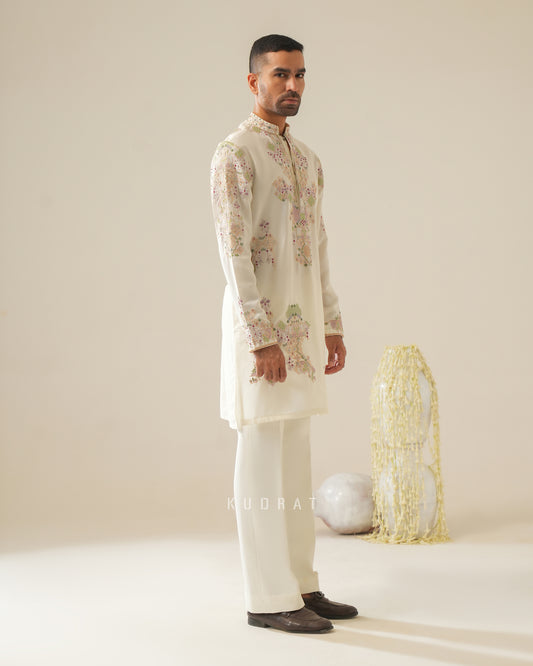 Shridhar Kurta set