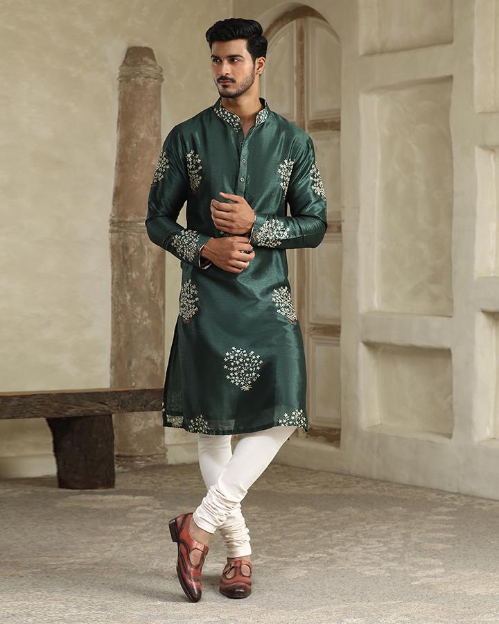 Hari booty embroidered silk kurta