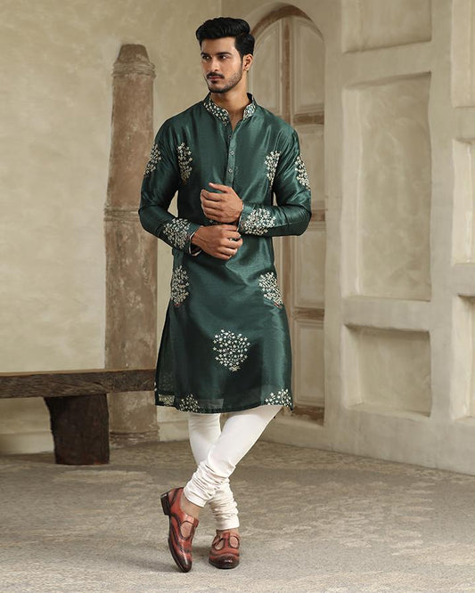 Hari booty embroidered silk kurta